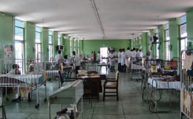 16_1_37_38_Meeting-Report-2-photo