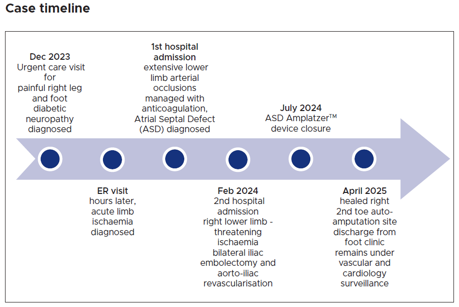 1455-case-timeline