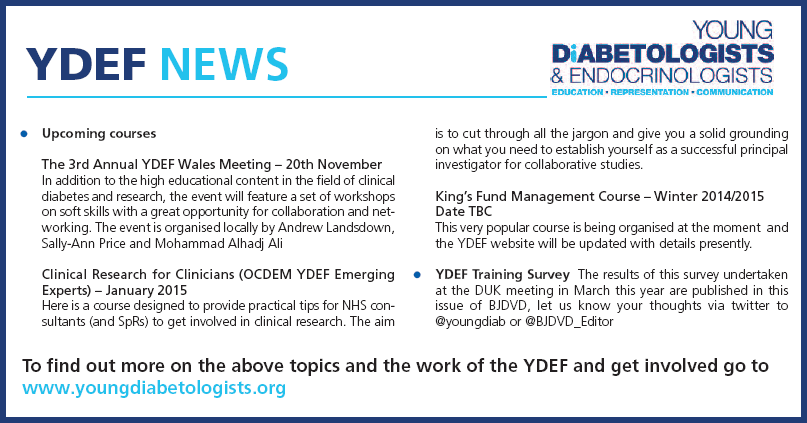 YDEF News