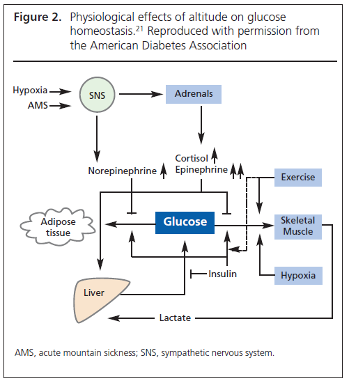 409 Charlton Figure 2