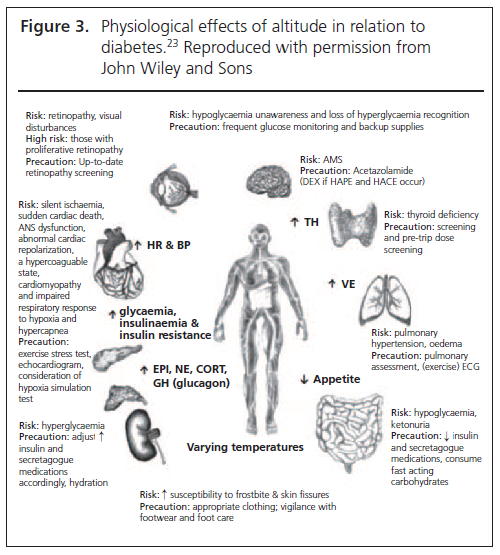 409 Charlton Figure 3