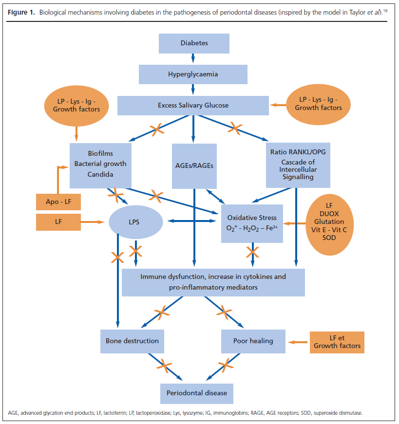 451 Perraudin Figure 1