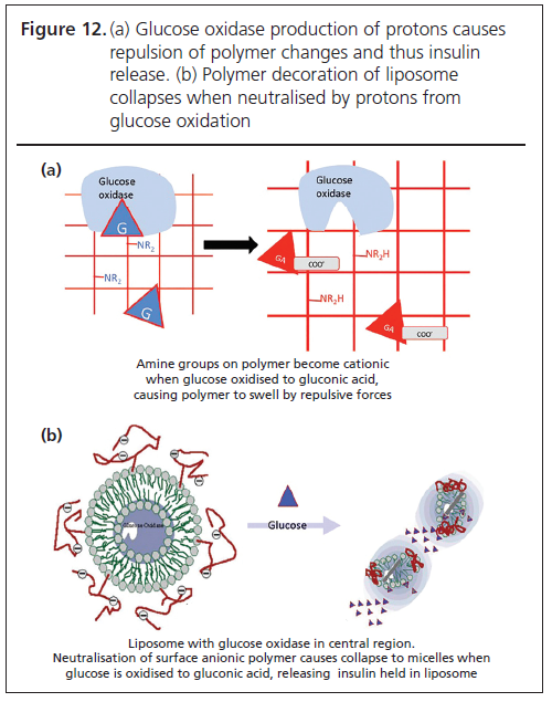 495 Taylor Figure 12