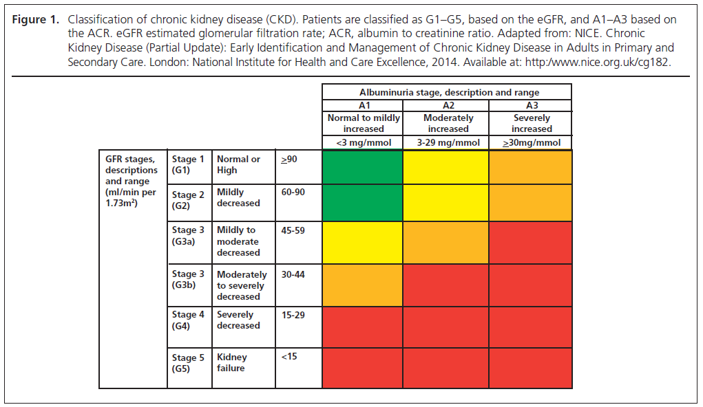 531 Winocour Figure 1