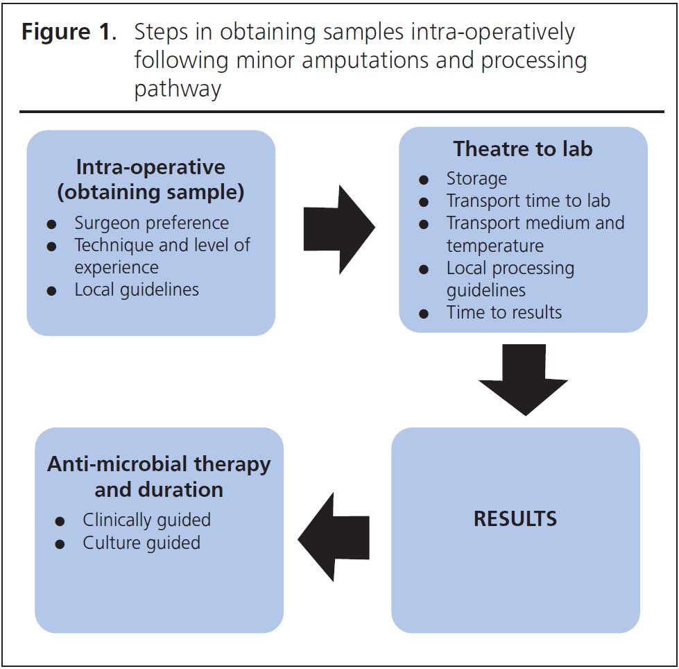 903 Gulamhussein Figure 1