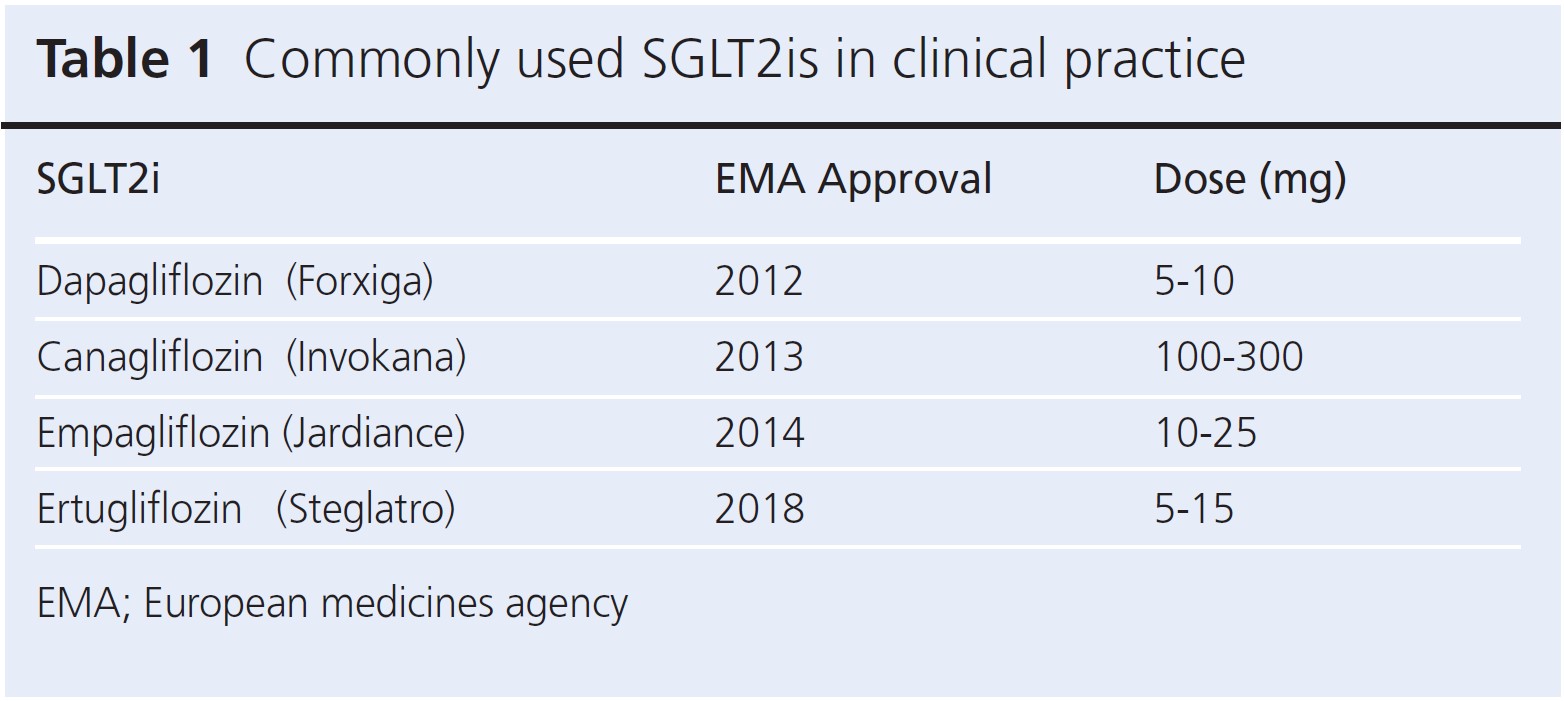 969 Sathyapalan Table 1