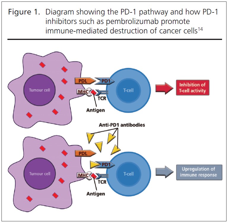 1107 Lolomari Figure 1
