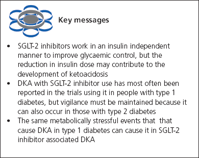 16_2_78_81-dhatariya-km