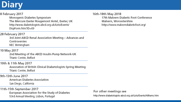 meeting-report-diary
