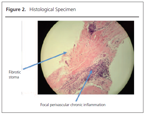 2018 03 Shrikrishnapalasuriyar Figure 2
