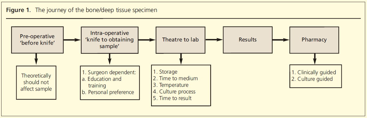 747 Travers Figure 1