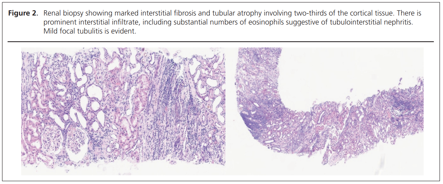 753 Chaudhary Figure 2
