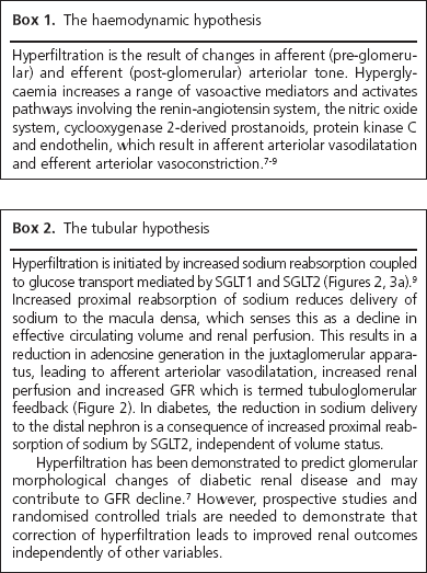Maltese, Boxes 1 and 2