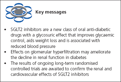 Maltese, Key messages